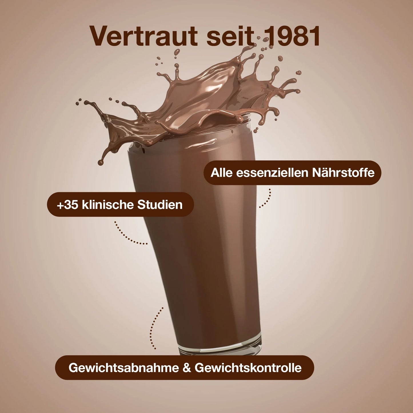 Vegan Chocolate Bliss