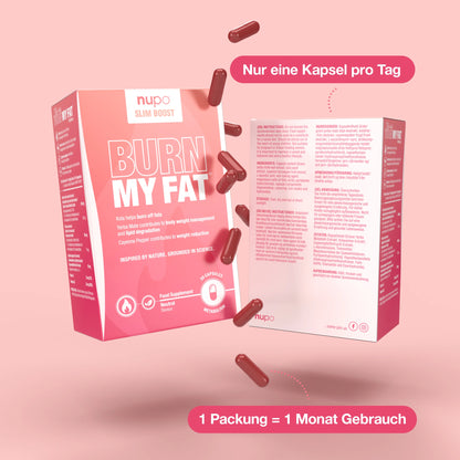 Burn My Fat 3 x Paket